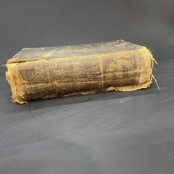 Plain Home Talk Medical Common Sense, OLD, Illustrated HB - Picture 2 of 12